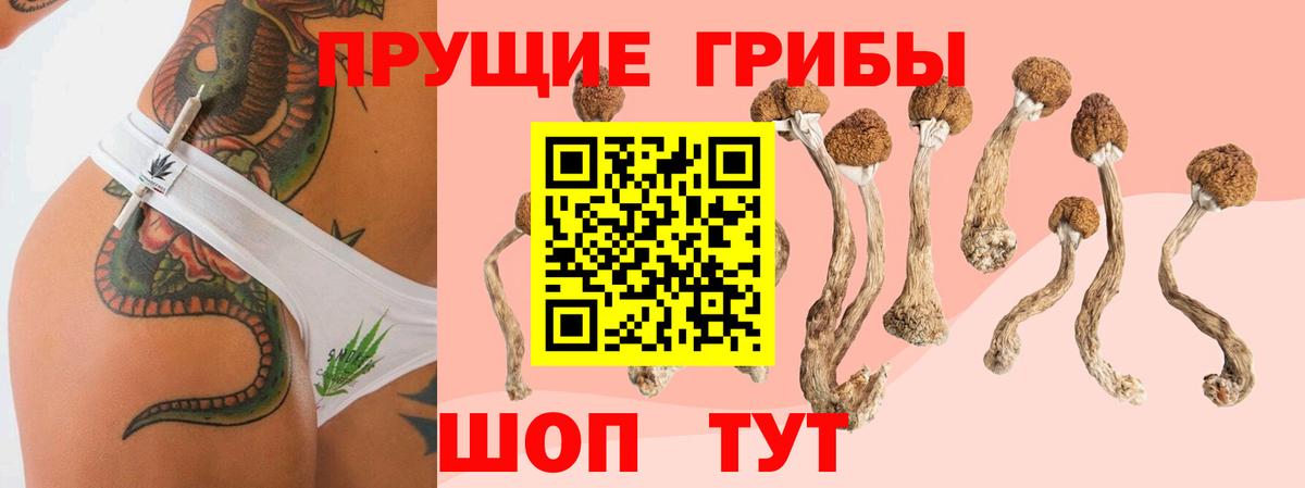 Когалым  где купить наркоту  Вход с VPN  Галлюциногенные грибы MAGIC MUSHROOMS  Галлюциногенные грибы MAGIC MUSHROOMS 